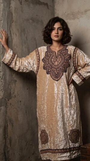 Kashmiri Bota Tilla Crushed Velvet Pheran